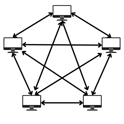 Computer Network Architecture